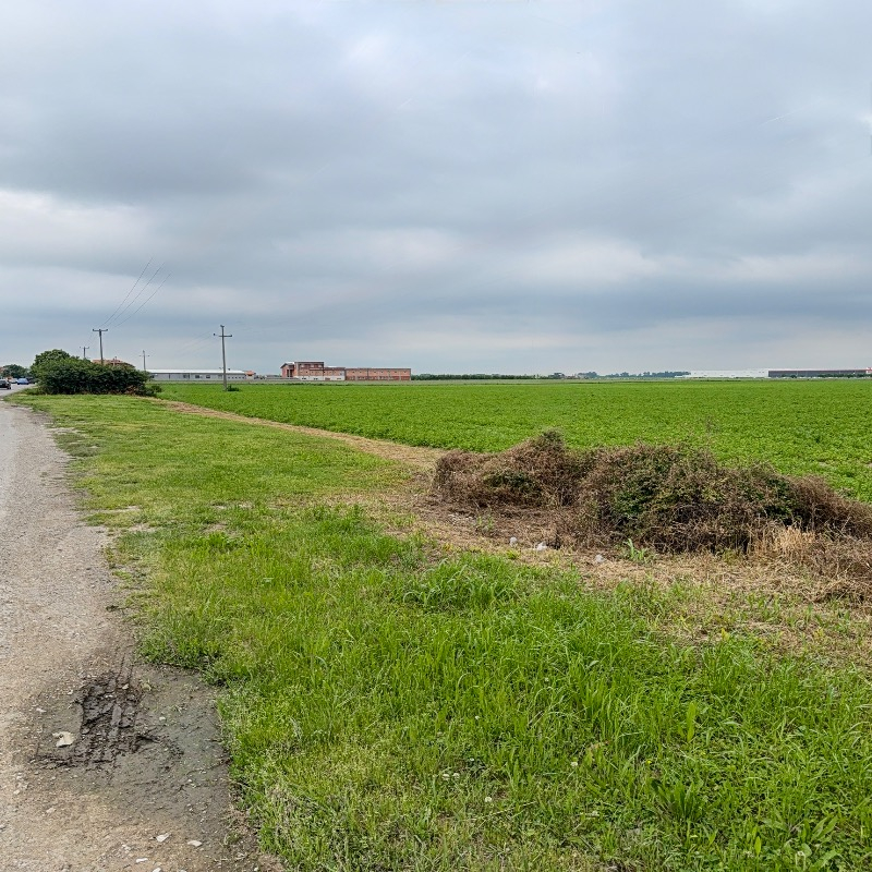 Plac Šabac-resized-to-800x800